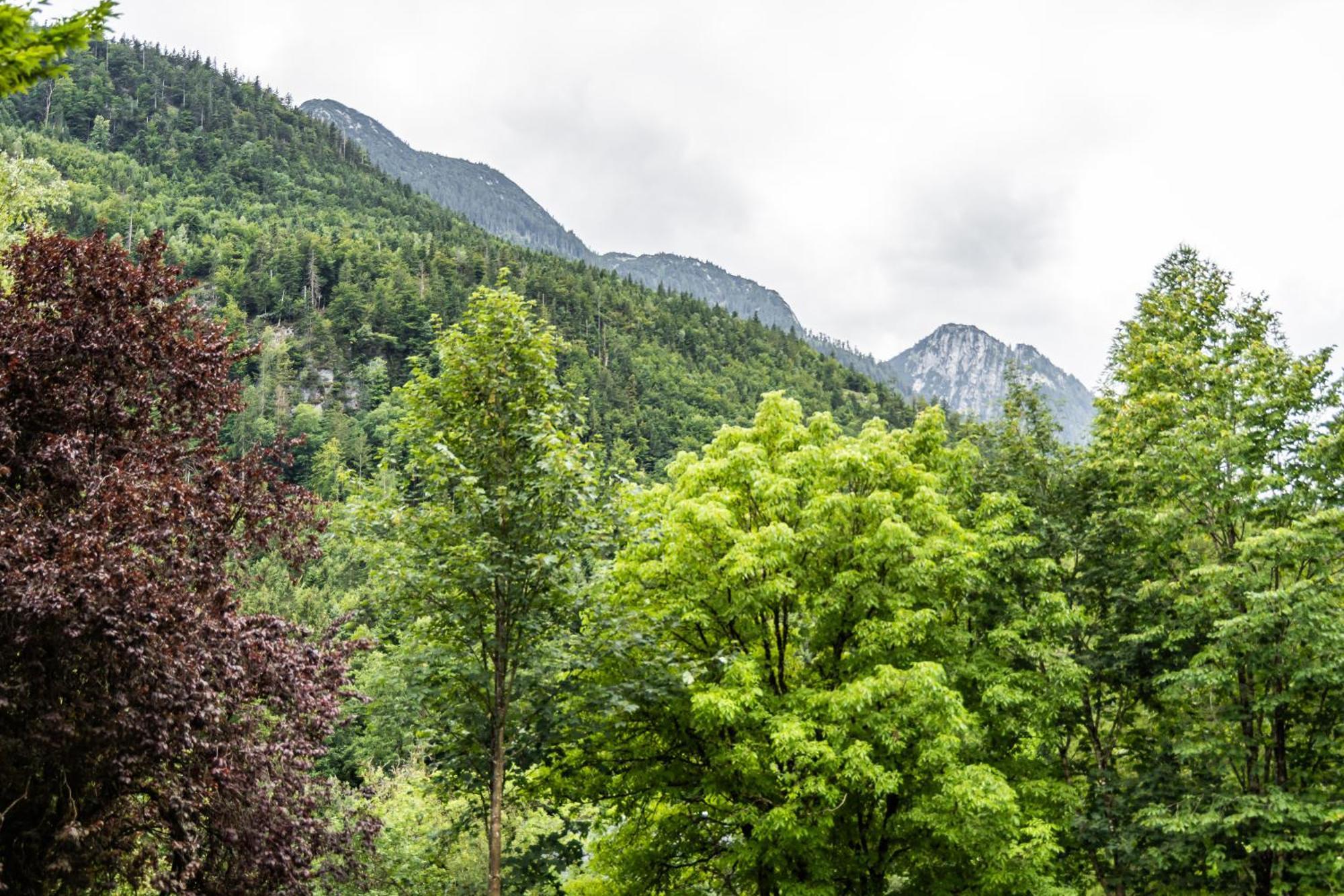 Alpin-Chalet In Alleinlage In Bad Ischl - Wald, Natur, Kamin & Sauna Екстериор снимка